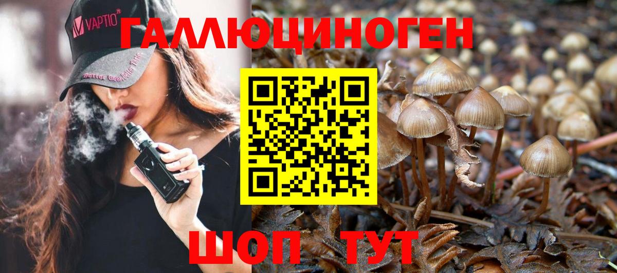 Галлюциногенные грибы Cubensis  Вход с VPN  Жуковский  Псилоцибиновые грибы ЛСД 